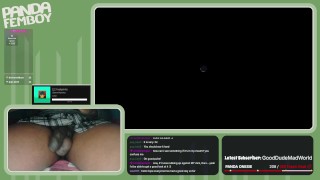 PandaFemboy Plays Mario & Luigi: Brothership Part 8