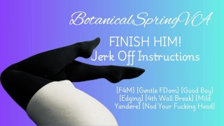 Jerk Off Instructions [Porno audio] [Gentle FDom] [4th Wall Break]