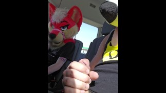 JOGO ARRISCADO! @AsuFoXXX não resiste @AngryBarks osso no banco de trás do UBER!