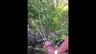 huge dual stream piss from 30+m up in a tree, then I wish someone would lick my cock