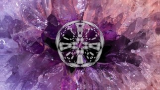 HvnterLIVE | Winziger Teaser