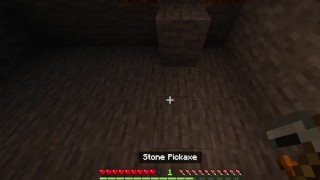 Fucking with creepers in minecraft